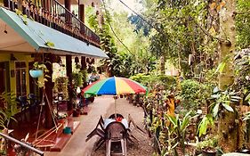 Jungleview Home Stay
